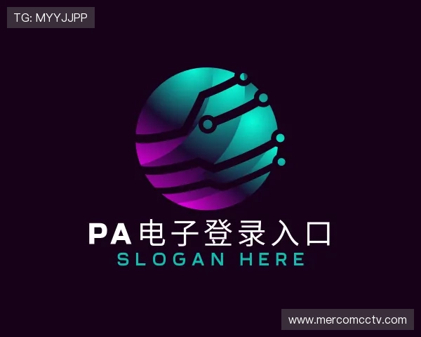 介绍PA电子平台